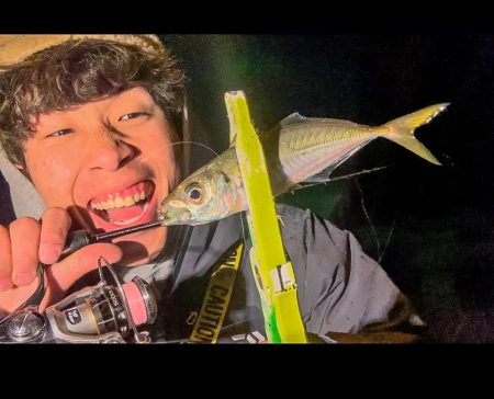 舞洲アジング好調↑