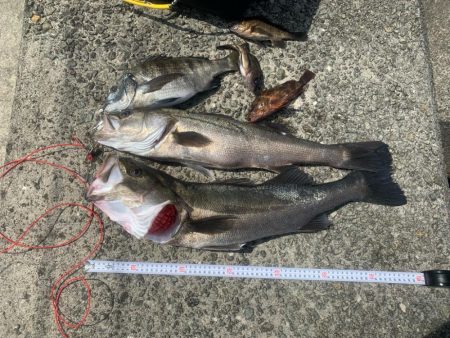 浮が沈むのが見たくて！