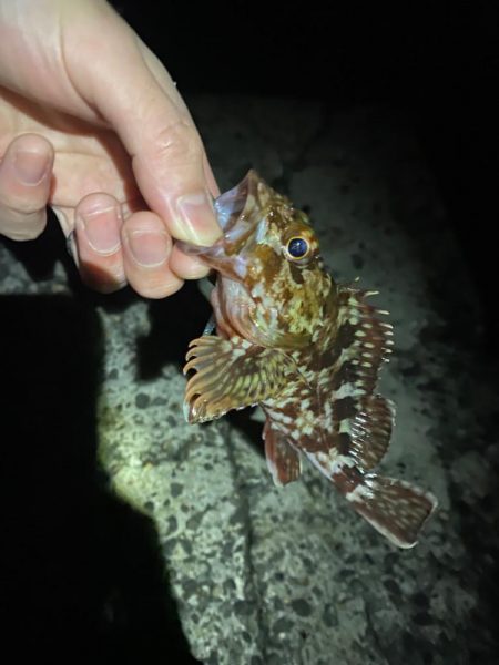 フロートゲーム