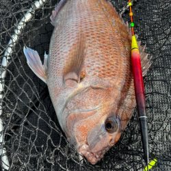 カタタの釣堀で遊んできました🎣