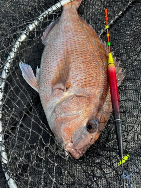 カタタの釣堀で遊んできました🎣