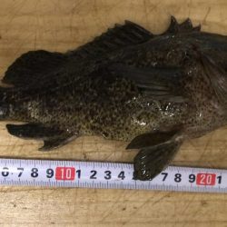 ブラクリムラソイ！