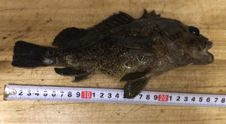 ブラクリムラソイ！