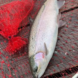 Wつ抜けならず!