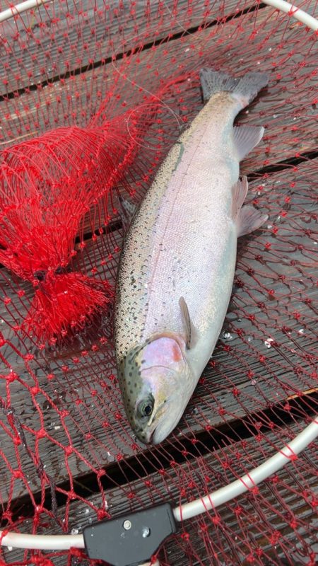 Wつ抜けならず!