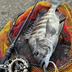 ヘチってきました