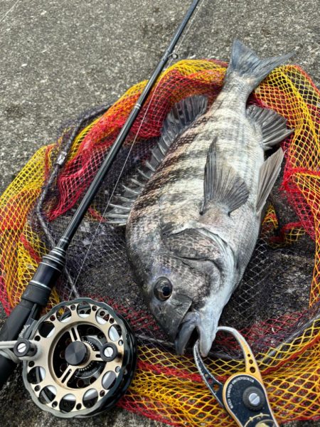 ヘチってきました