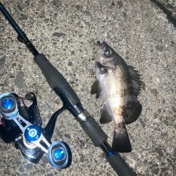 後悔先にたたず