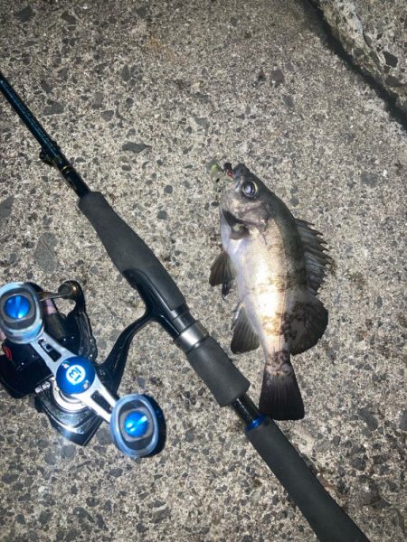 後悔先にたたず