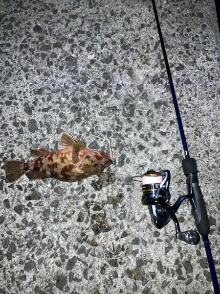 アジまったくいーひん