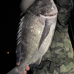 ボートチヌジギング