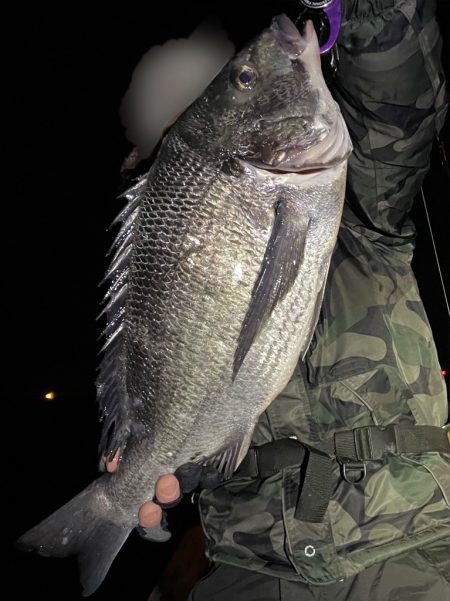 ボートチヌジギング