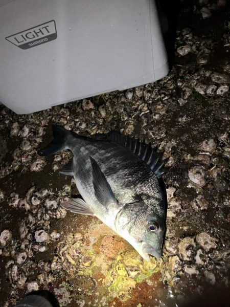 アジポイント探し