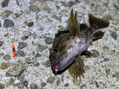 激渋メバリング