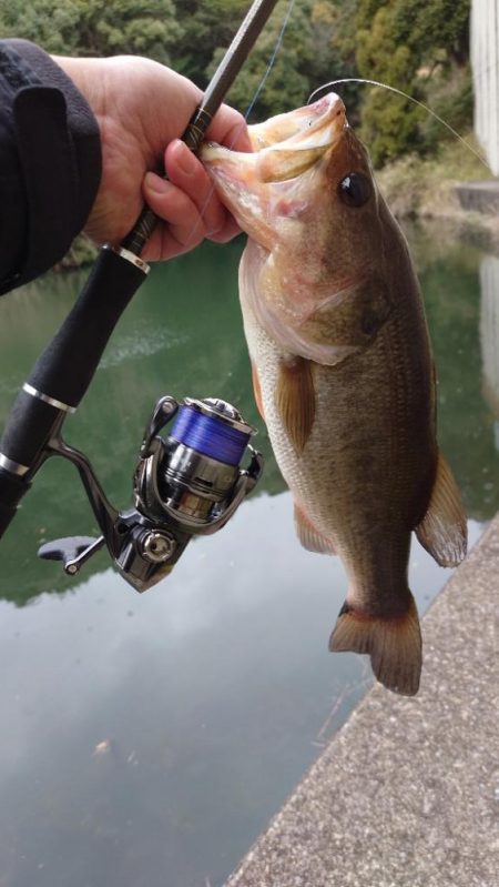 重ヘッドワッキー!