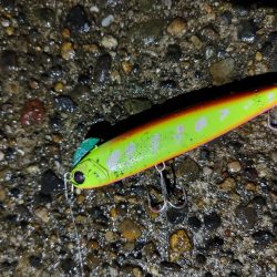 なんとかセイゴ