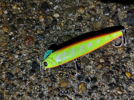 なんとかセイゴ