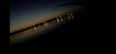 バチ抜け調査🎣