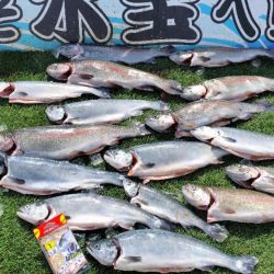 サーモンコーナー