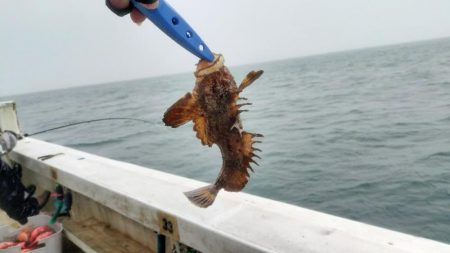 加太沖で五目便