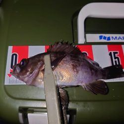 短時間メバリング