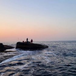 和歌山市江（吉丸渡船）でグレ釣り