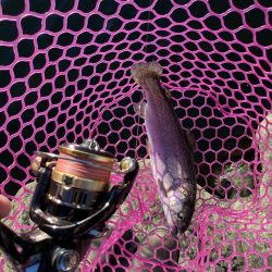 釣食浪漫 ～風は強いが活性高し！～