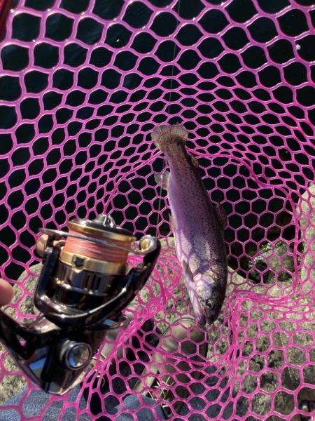 釣食浪漫 ～風は強いが活性高し！～