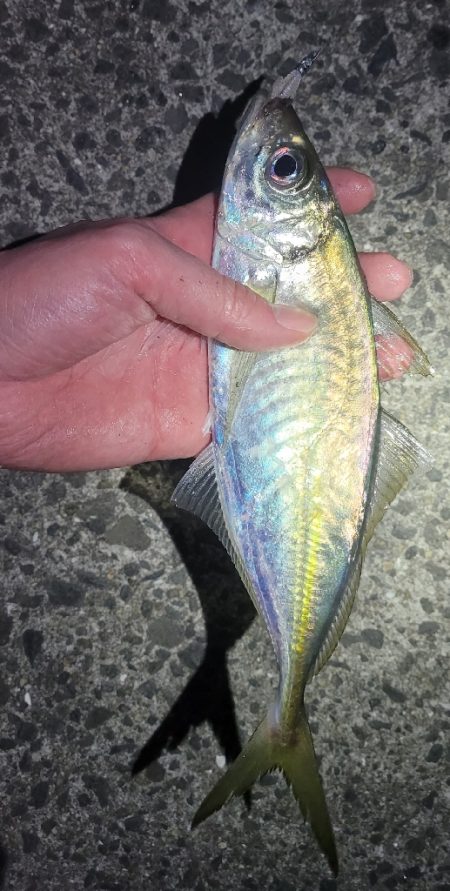 ライトゲーム、やってみました！