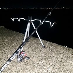 花見カレイの前に釣れました