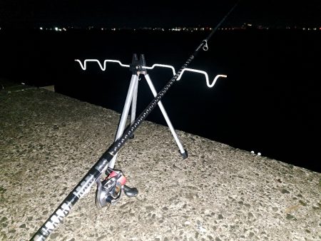 花見カレイの前に釣れました