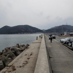 寒鰤ならぬ寒鰡‼️