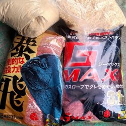 和歌山市江（吉丸渡船）でグレ釣り