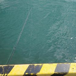 サビキ釣り