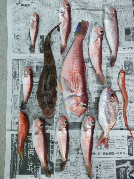 ライトアマダイ◎一俊丸