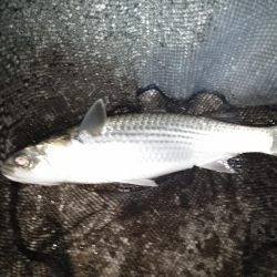 最後に何とかヒット…