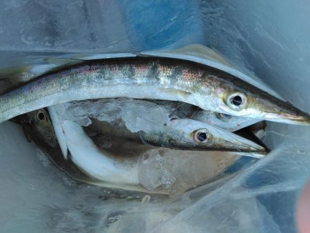 久しぶりの釣行