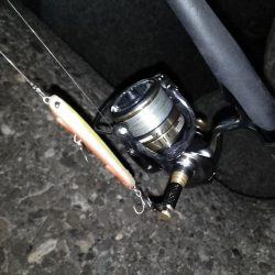 寒いので30分だけ…