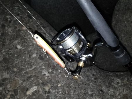 寒いので30分だけ…