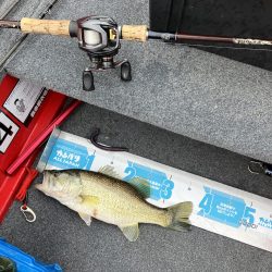 雨の北山田46cm 36cm