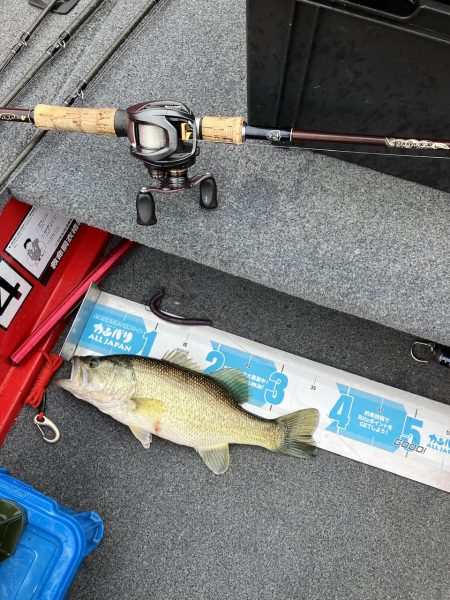 雨の北山田46cm 36cm