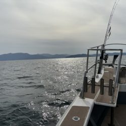 ジギング船サワラ便でサワラ