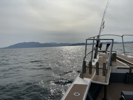 ジギング船サワラ便でサワラ