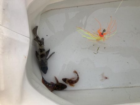 ファミリー初釣り