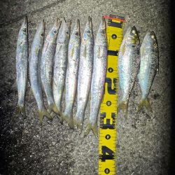 爆風カマシング