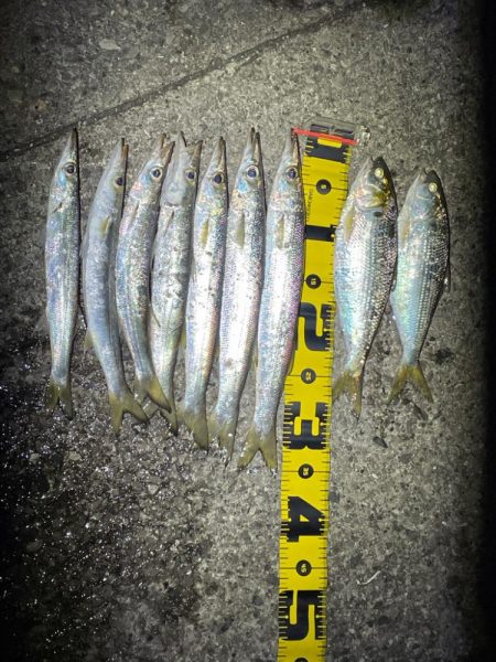 爆風カマシング