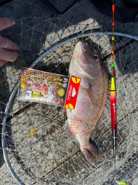 MFG海上釣り堀大会に参加してきました🎣