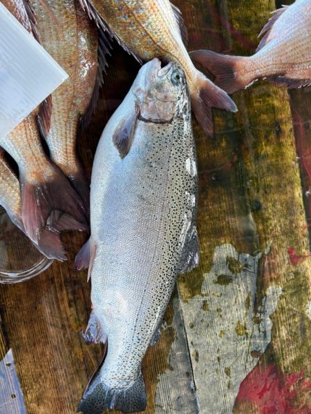 海上釣り堀　福寿丸