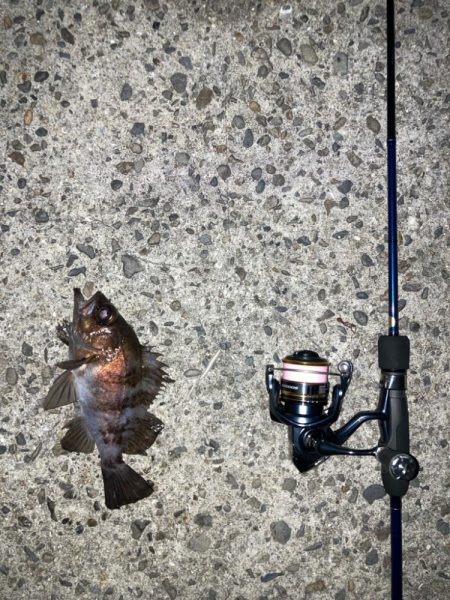 アジまったくいーひん