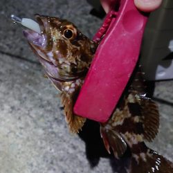 灘浜メバリング